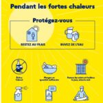 Pendant les fortes chaleurs